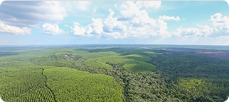 Z6���������й����ٷ���վ