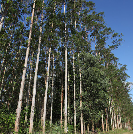 Z6���������й����ٷ���վ