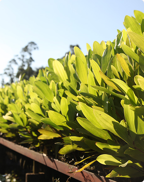 Z6���������й����ٷ���վ