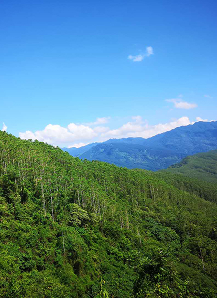 Z6·尊龙「中国」官方网站