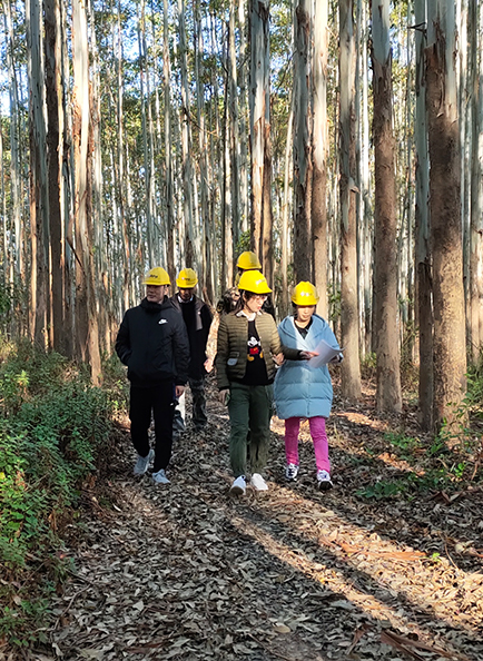 Z6·尊龙「中国」官方网站