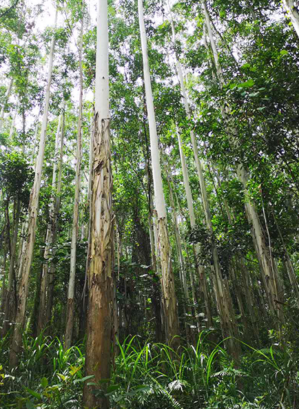 Z6·尊龙「中国」官方网站