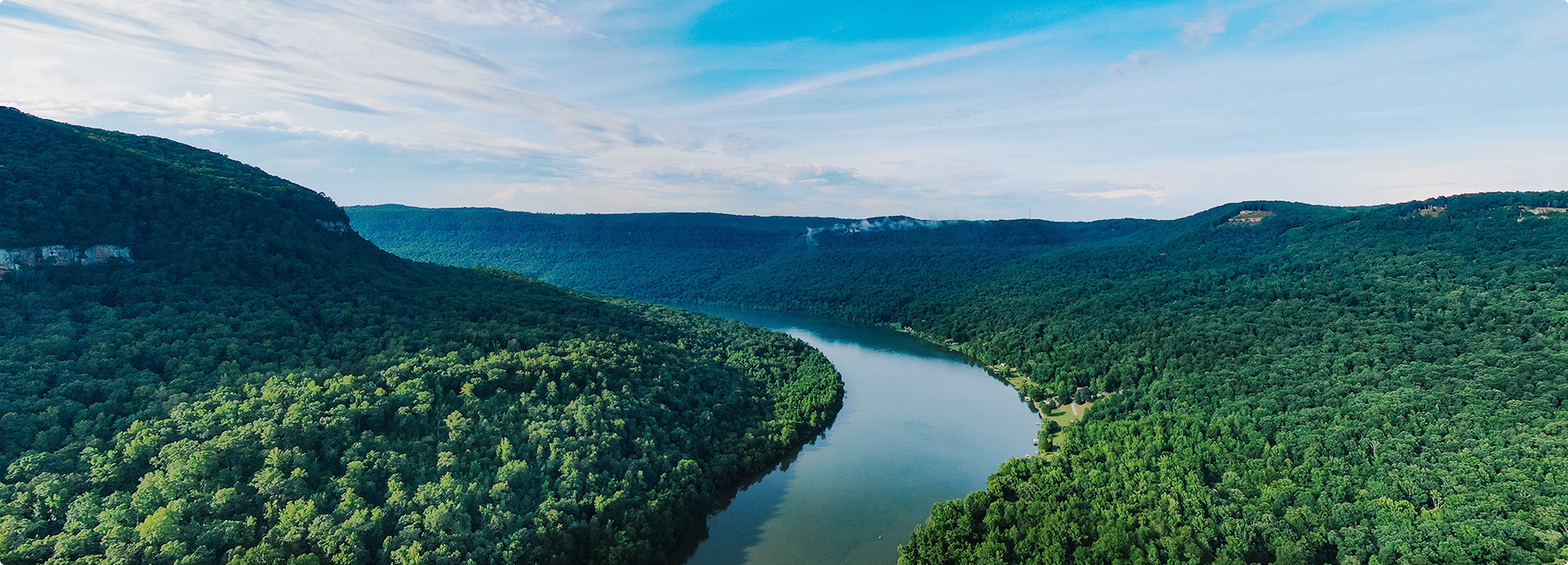 ʮ��ֽҵ��˾APP�й�Ӫҵ����������ҵ��