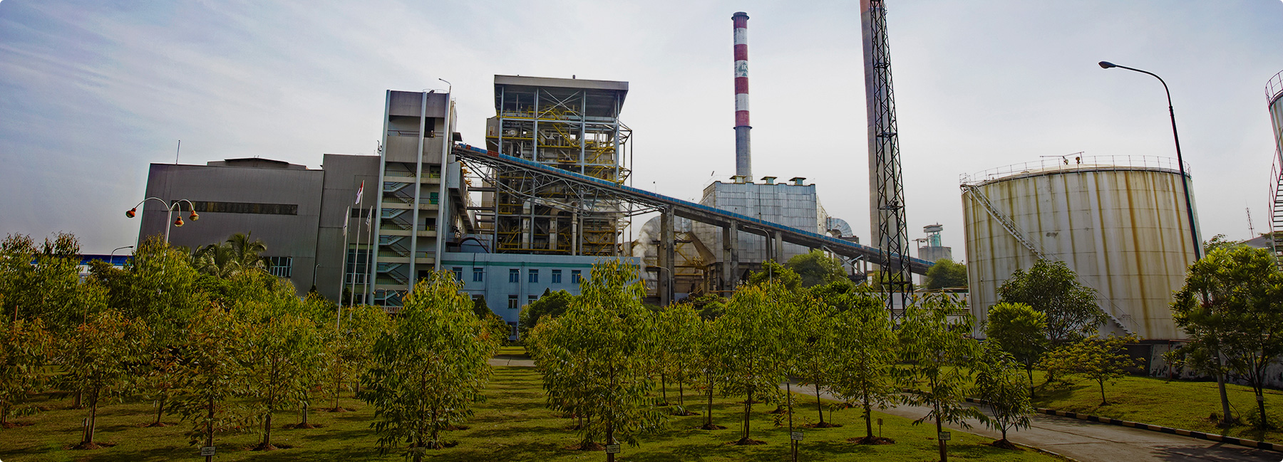 ʮ��ֽҵ��˾APP�й�Ӫҵ����ֽ����ҵ��