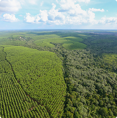 Z6���������й����ٷ���վ