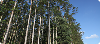 Z6���������й����ٷ���վ