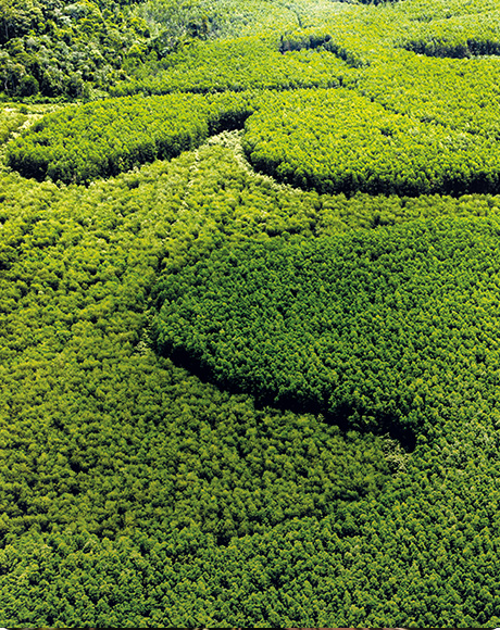 Z6���������й����ٷ���վ