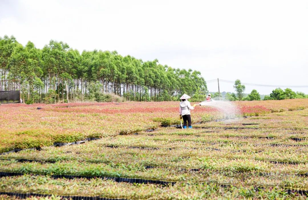 Z6·尊龙「中国」官方网站