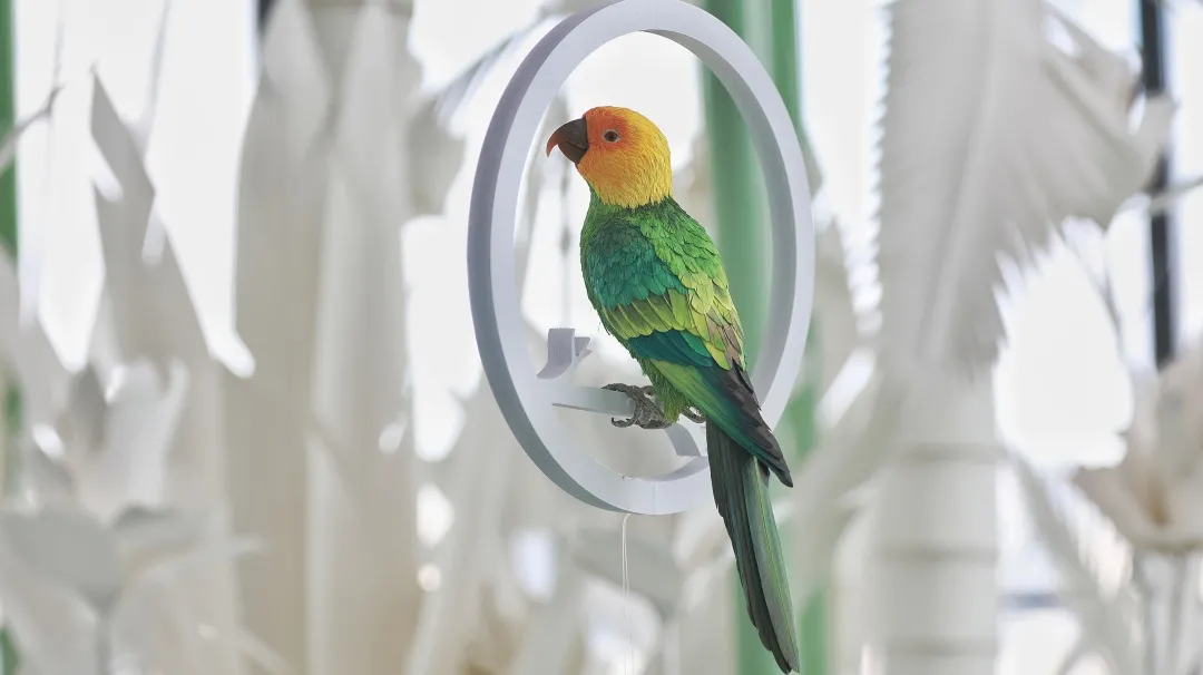 Z6¡¤×ðÁú¡¸Öйú¡¹¹Ù·½ÍøÕ¾