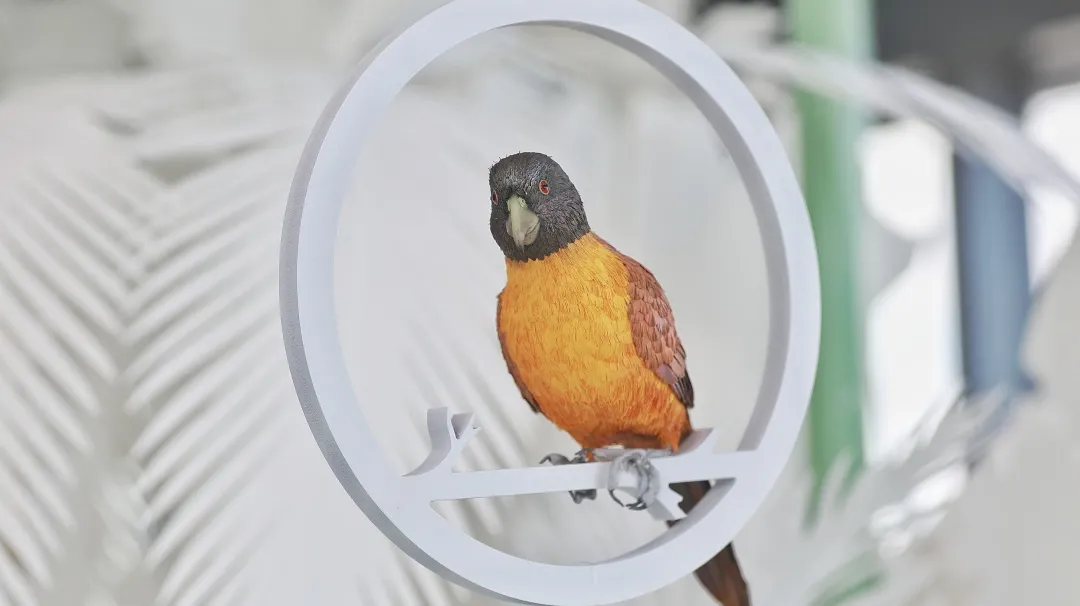 Z6¡¤×ðÁú¡¸Öйú¡¹¹Ù·½ÍøÕ¾