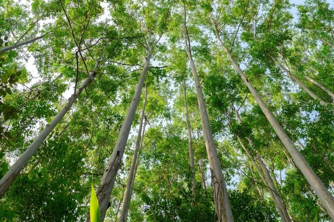 Z6���������й����ٷ���վ