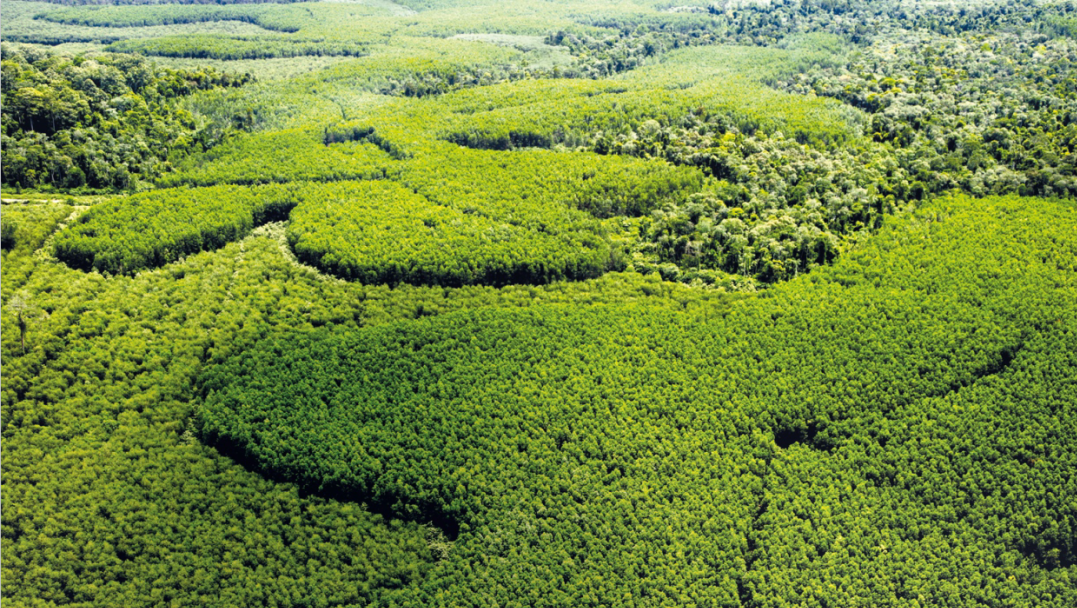 Z6���������й����ٷ���վ