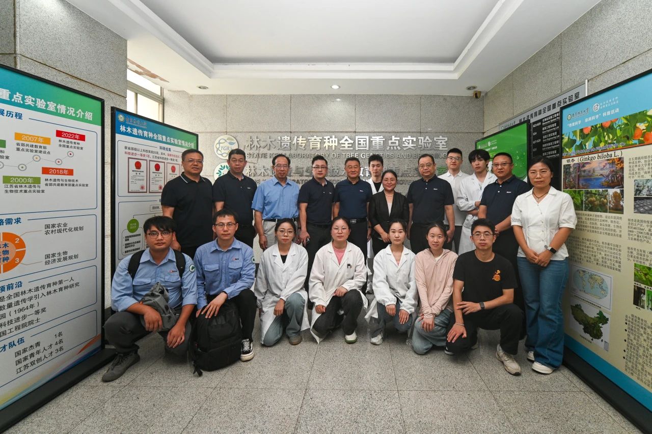 Z6���������й����ٷ���վ