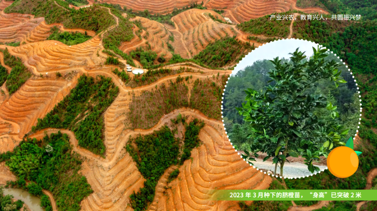 Z6·尊龙「中国」官方网站