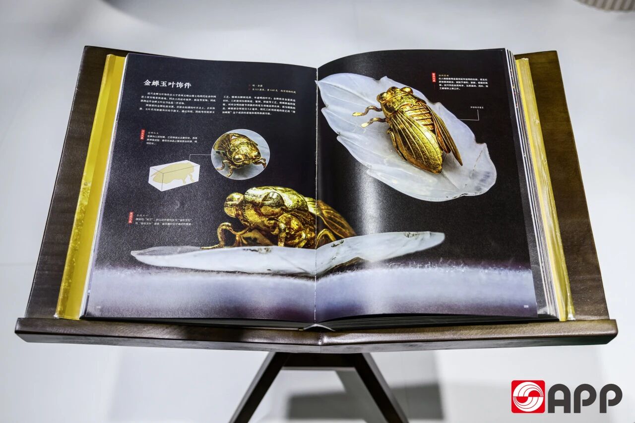 Z6���������й����ٷ���վ