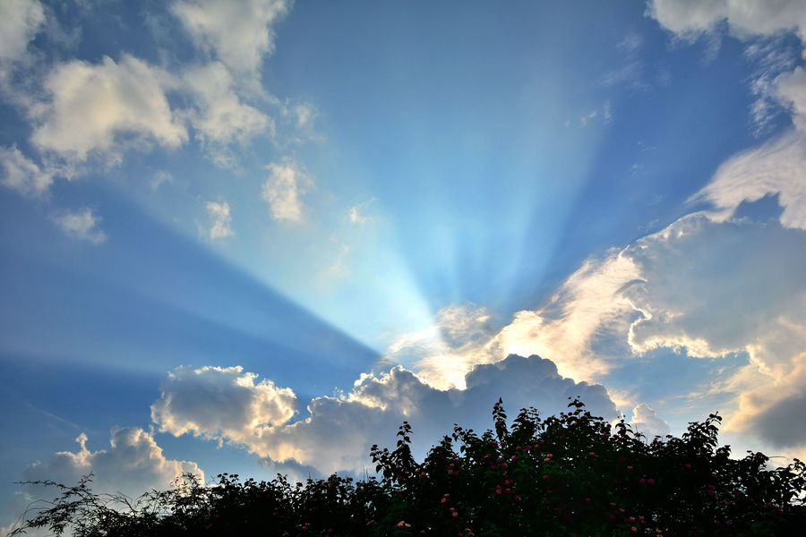 Z6���������й����ٷ���վ