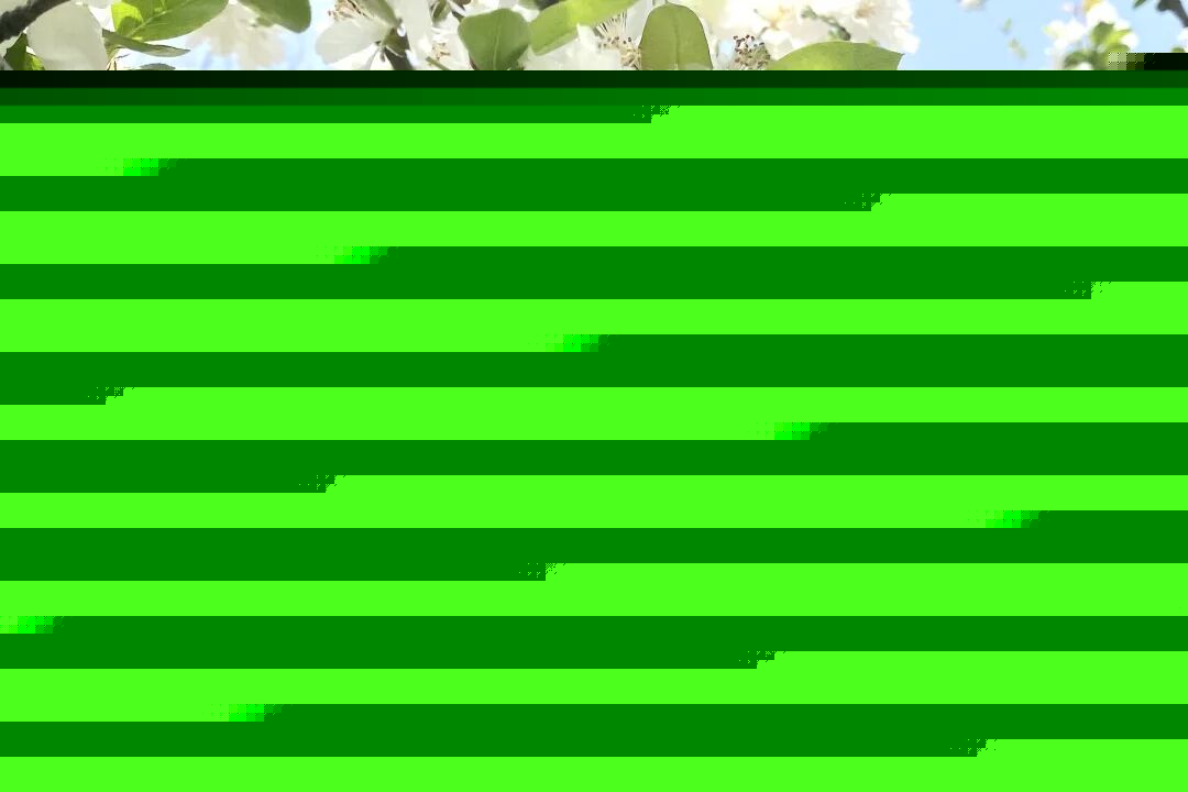 01.jpg 01.jpg
